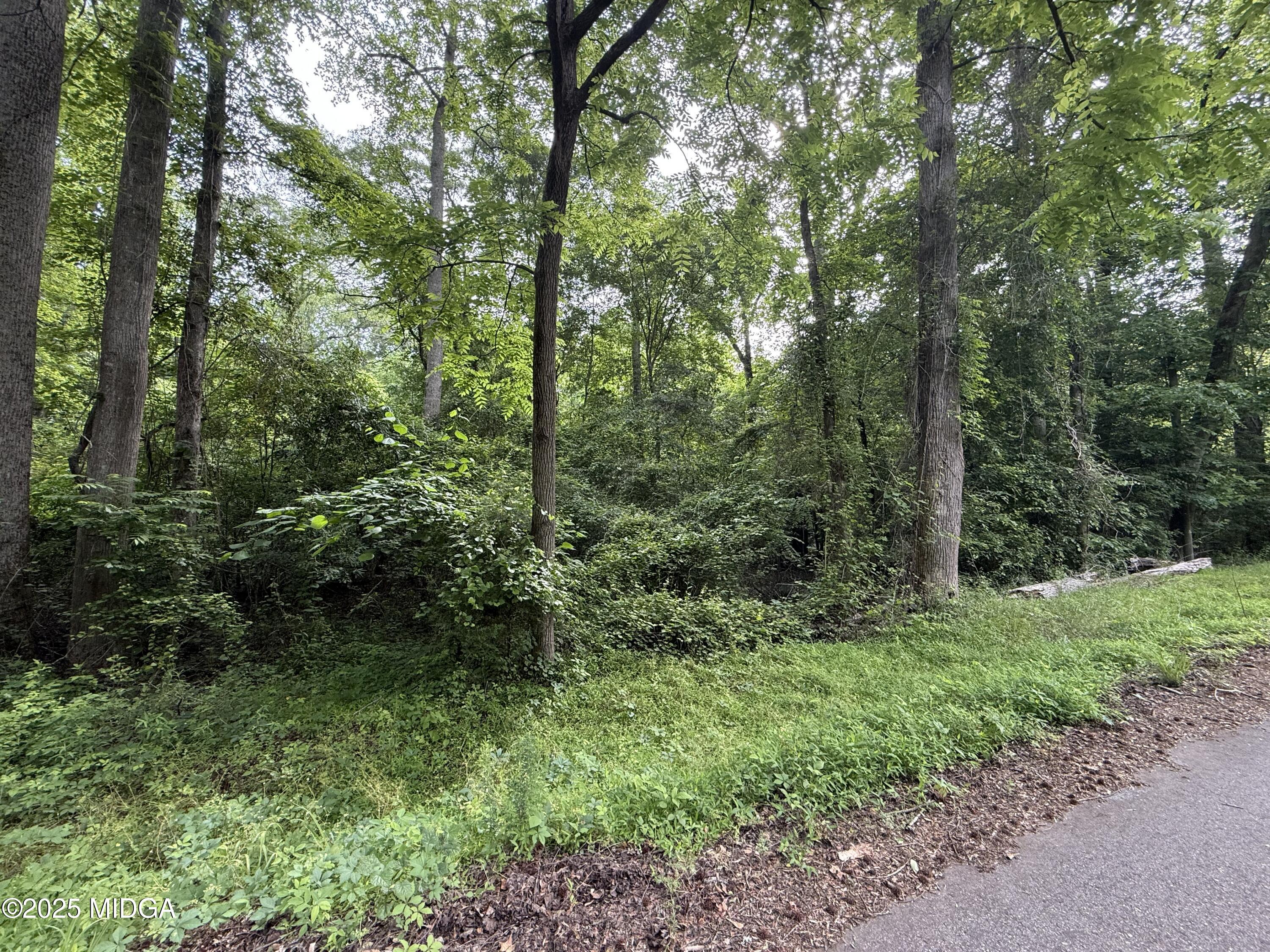 0 Zellner Road Lot 15