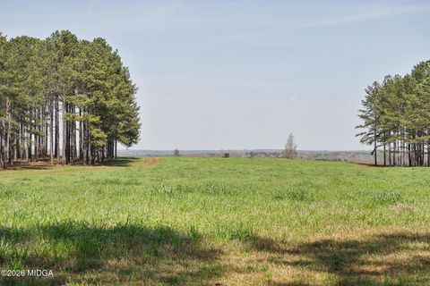 449 Mcmullen Road Forsyth GA 31029