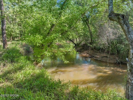 LOT 15-A-1 CREEKSIDE LANE, FORSYTH, GA 31029 - Image ef9cb89c1e79cdc3a3ac635f728bbfc2/1303618379