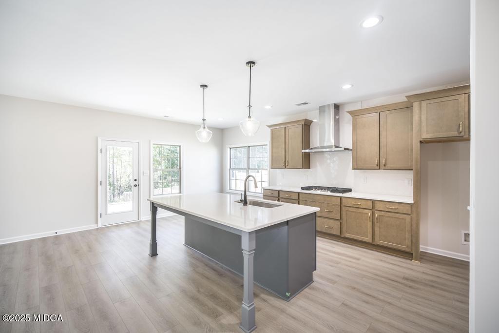 225 Meadows Loop 191