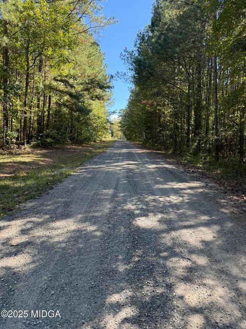 183 Deer Lane Forsyth GA 31029