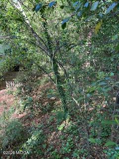 3746 Overlook Avenue