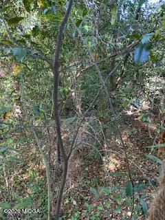 3746 Overlook Avenue