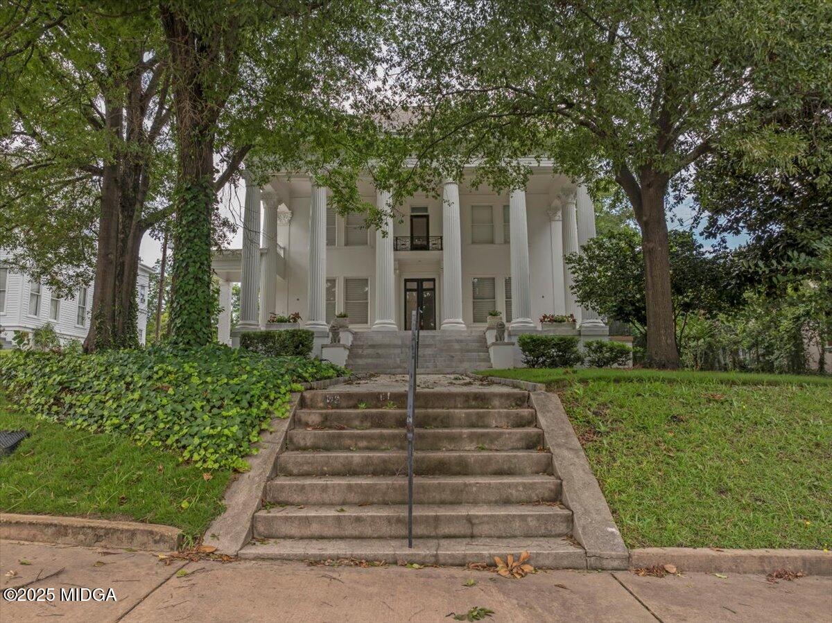 195 College Street