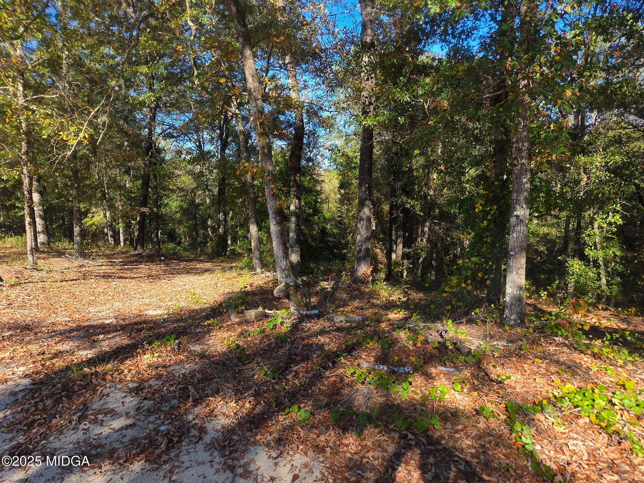 5771 Rogers Road