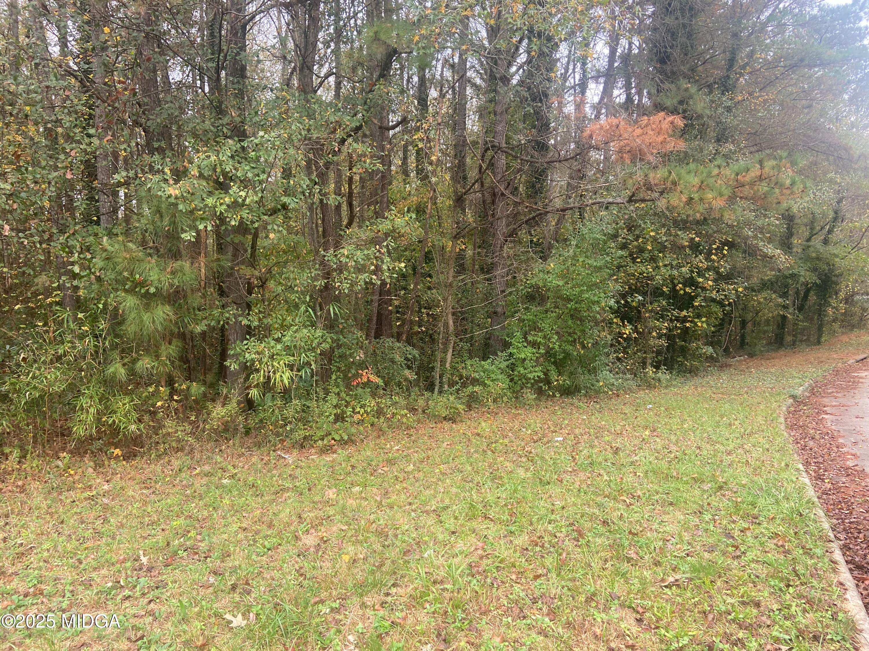 0 Chimney Smoke Drive