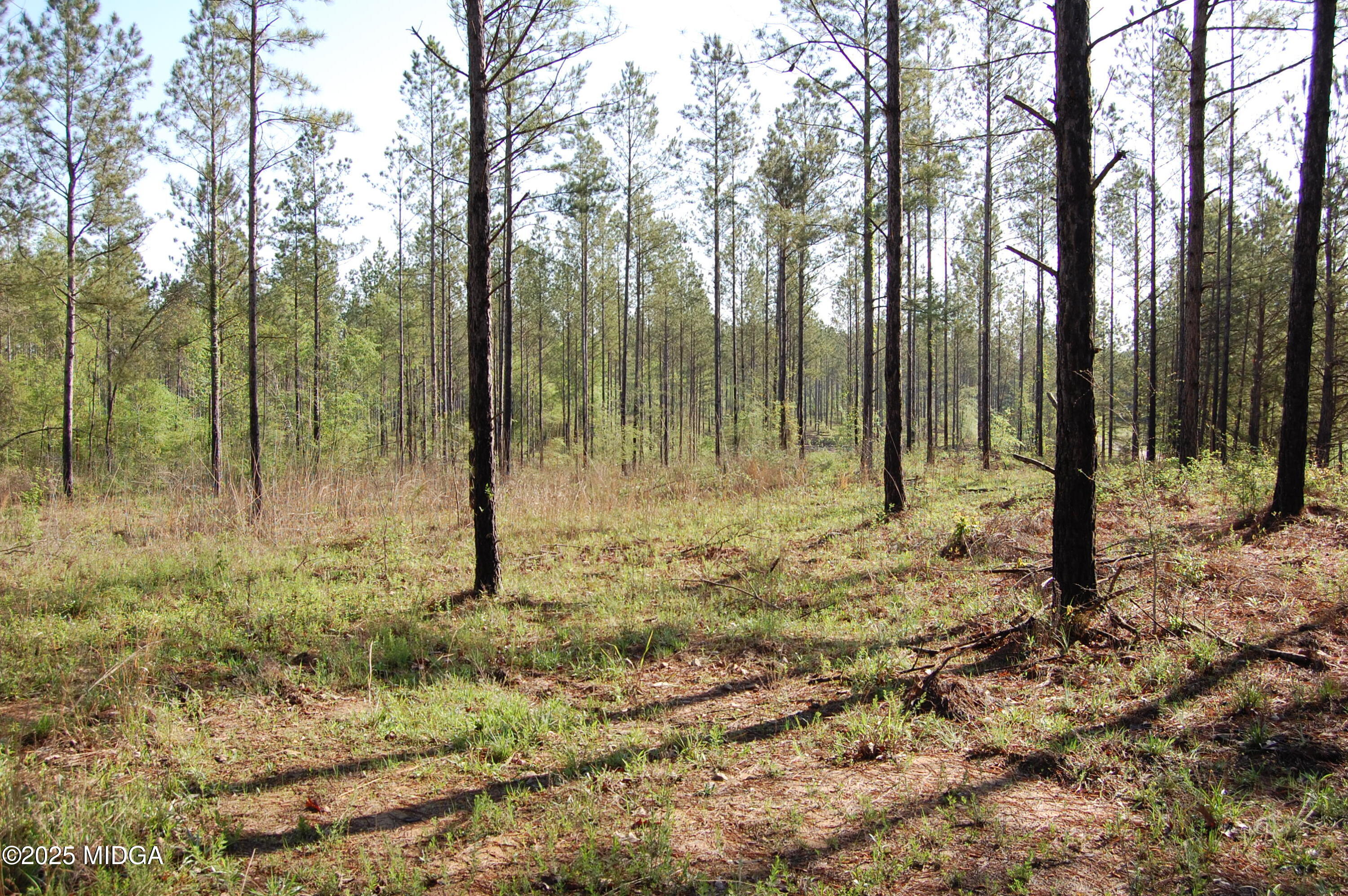 00000 Watson Road Tract 10