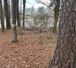 108 Horseshoe Bend Road SW