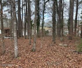 108 Horseshoe Bend Road SW