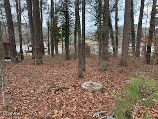 108 Horseshoe Bend Road SW
