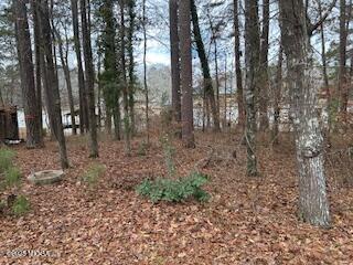 108 Horseshoe Bend Road SW