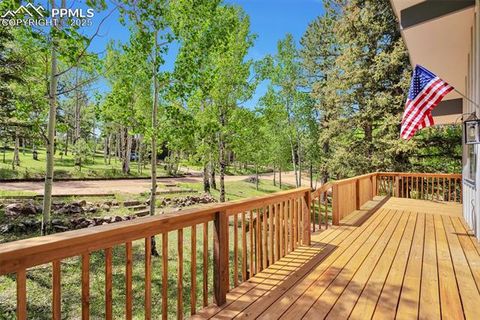 Tiny photo for 21 Valley Lane, Woodland Park, CO 80863 (MLS # 6610633)