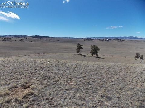 Photo of 5795 Guipago Trail, Hartsel, CO 80449 (MLS # 3519358)