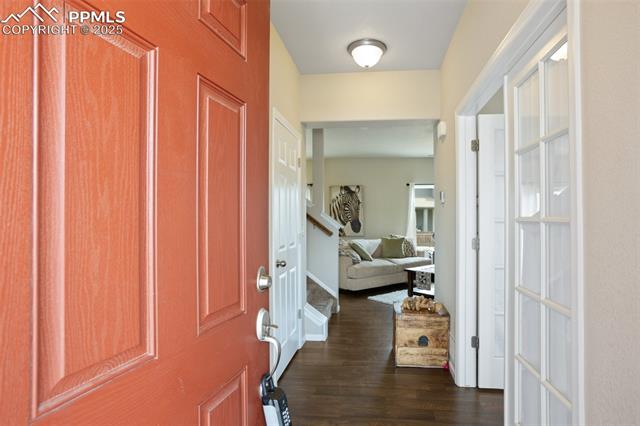 7505 Alpine Daisy Drive