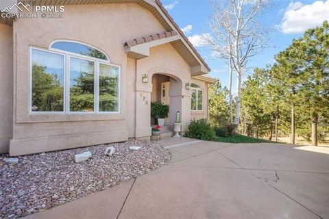 Tiny photo for 275 Tam O Shanter Way, Monument, CO 80132 (MLS # 7697619)
