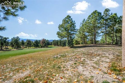 Tiny photo for 275 Tam O Shanter Way, Monument, CO 80132 (MLS # 7697619)