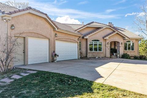 Tiny photo for 275 Tam O Shanter Way, Monument, CO 80132 (MLS # 7697619)