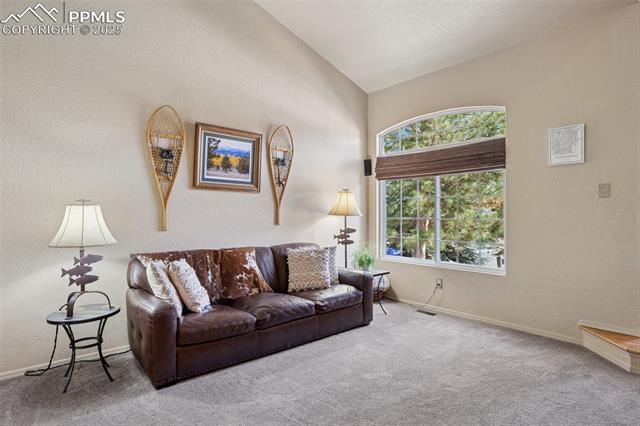 2755 Lumberjack Drive