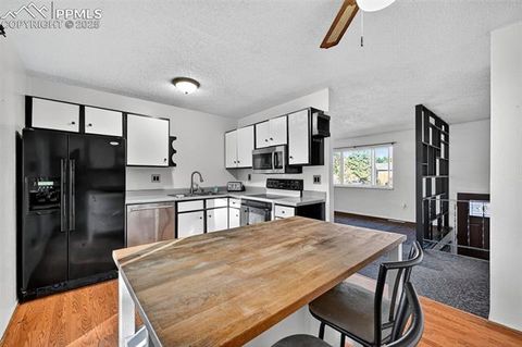 Tiny photo for 4135 Neat Place, Colorado Springs, CO 80917 (MLS # 1854858)