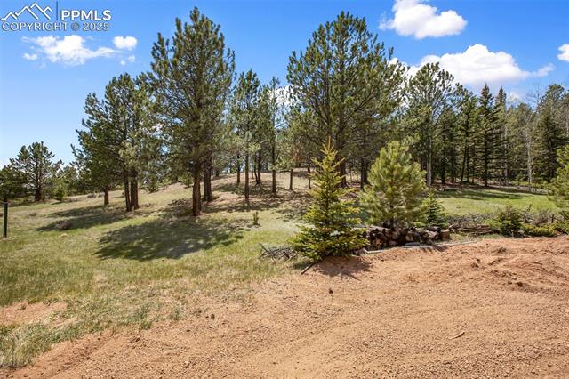1011 W Bison Creek Trail