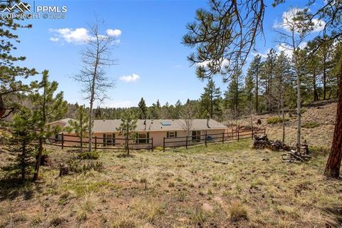Photo of 1011 W Bison Creek Trail, Divide, CO 80814 (MLS # 2421746) Photo of 1011 W Bison Creek Trail, Divide, CO 80814 (MLS # 2421746)