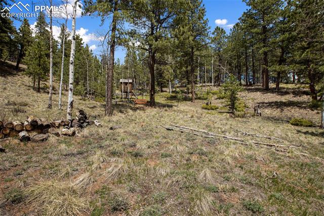 1011 W Bison Creek Trail