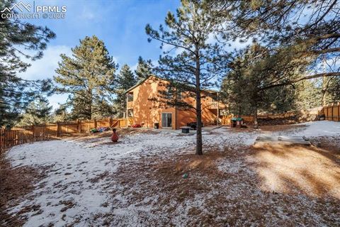 Tiny photo for 21 Shadowood Place, Woodland Park, CO 80863 (MLS # 7568178)