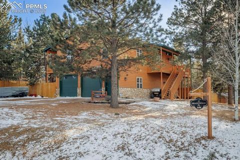 Photo of 21 Shadowood Place, Woodland Park, CO 80863 (MLS # 7568178)