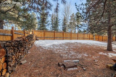 Tiny photo for 21 Shadowood Place, Woodland Park, CO 80863 (MLS # 7568178)