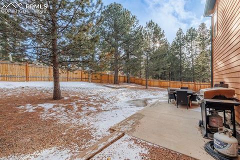 Tiny photo for 21 Shadowood Place, Woodland Park, CO 80863 (MLS # 7568178)