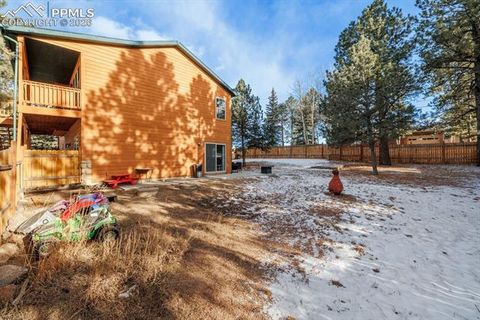 Tiny photo for 21 Shadowood Place, Woodland Park, CO 80863 (MLS # 7568178)