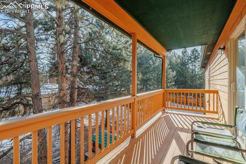 Tiny photo for 21 Shadowood Place, Woodland Park, CO 80863 (MLS # 7568178)