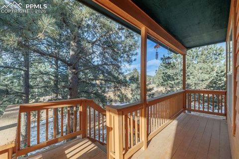 Tiny photo for 21 Shadowood Place, Woodland Park, CO 80863 (MLS # 7568178)