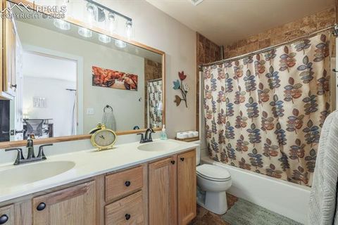 Tiny photo for 21 Shadowood Place, Woodland Park, CO 80863 (MLS # 7568178)