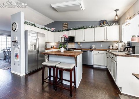 Tiny photo for 343 Chelsea Street, Castle Rock, CO 80104 (MLS # 7139598)