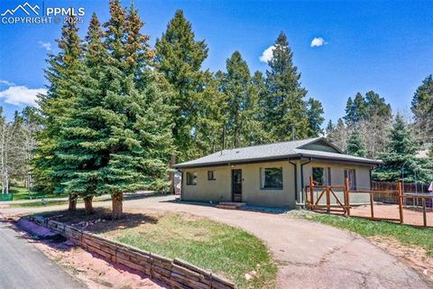 401 N Fairview Street Woodland Park CO 80863