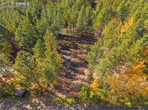Photo of 1320 Forest Edge Road, Woodland Park, CO 80863 (MLS # 9177549)