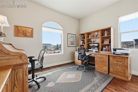 Tiny photo for 10042 Coyote Song Terrace, Colorado Springs, CO 80924 (MLS # 8882876)