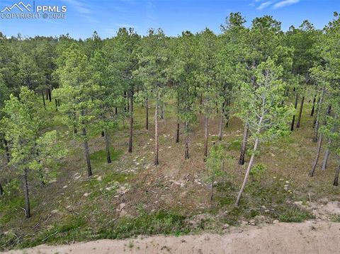 Photo of 14983 Bourbon Court, Colorado Springs, CO 80908 (MLS # 6395160)