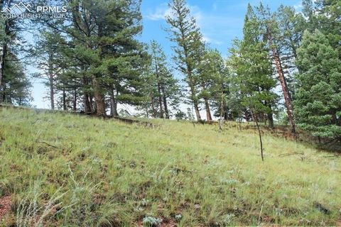 Photo of 131 Lost Lake Circle, Divide, CO 80814 (MLS # 8435433)