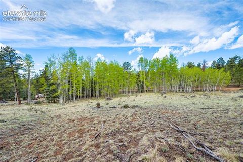 Photo of 57 Beaver Creek Drive, Lake George, CO 80827 (MLS # 1703749)