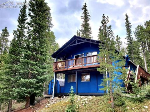 211 Pine Ridge Road Alma CO 80420