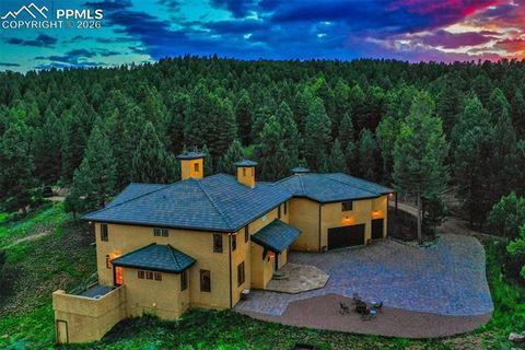 Photo of 419 Lucky Lady Drive, Woodland Park, CO 80863 (MLS # 9159862)
