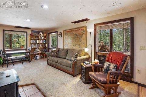Tiny photo for 381 Saddleback Creek Drive, Florissant, CO 80816 (MLS # 3594091)