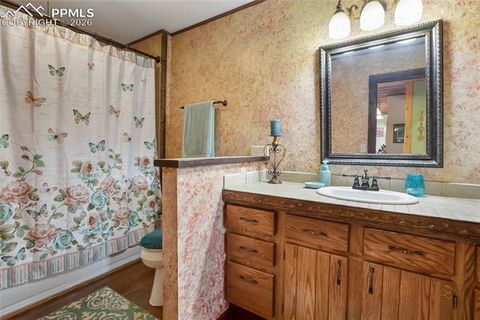 Tiny photo for 381 Saddleback Creek Drive, Florissant, CO 80816 (MLS # 3594091)