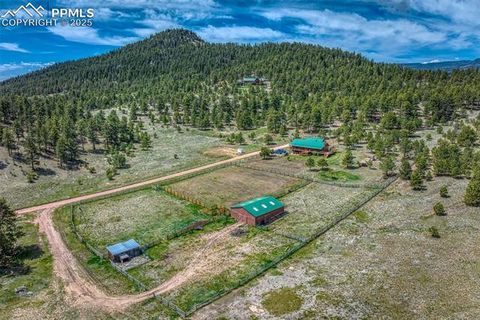 3596 Delilah Drive Canon City CO 81212