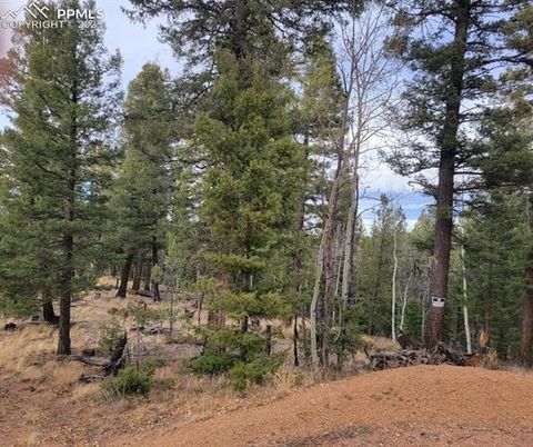 Photo of 180 Sentinel Way, Florissant, CO 80816 (MLS # 4847149)