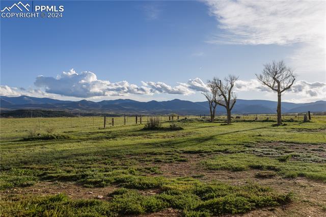 225 County Road 451