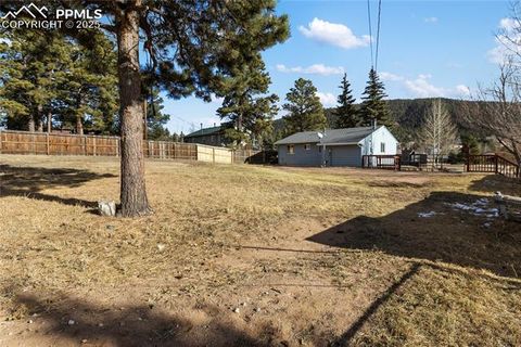 Tiny photo for 410 N Baldwin Street, Woodland Park, CO 80863 (MLS # 6357394)