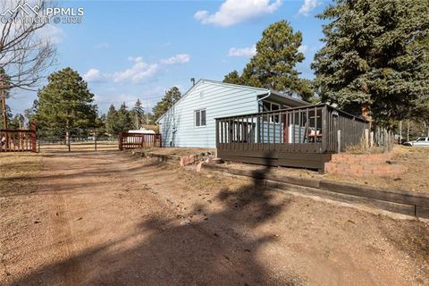 Tiny photo for 410 N Baldwin Street, Woodland Park, CO 80863 (MLS # 6357394)